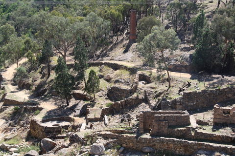 Adelong Falls Gold Mill Ruins - ACT Tourism 0