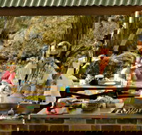 Apsley Falls Picnic Area - ACT Tourism