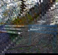 Arthurs Seat to Kings Falls Walk - ACT Tourism