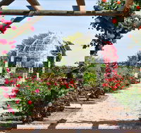 Australian Inland Botanic Gardens - ACT Tourism