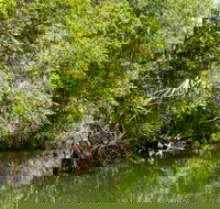 Berry Springs Nature Park - ACT Tourism