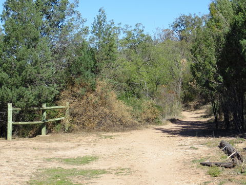 Bindea Walking Track - ACT Tourism 1
