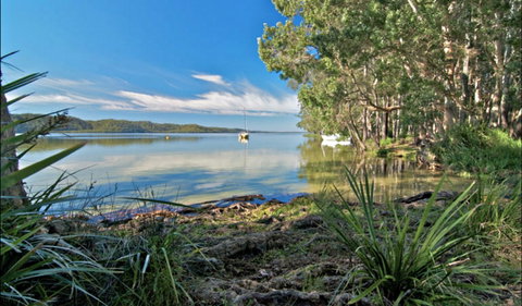 Black Oaks Picnic Area - ACT Tourism 0
