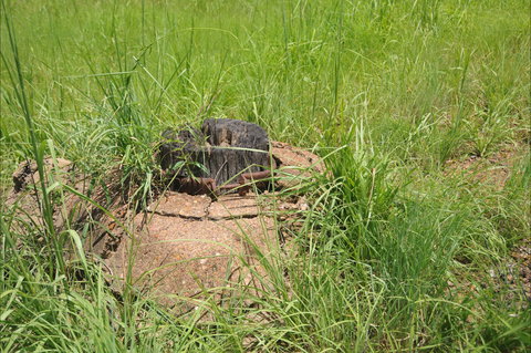 Brocks Creek Chinatown And Temple Site - ACT Tourism 0