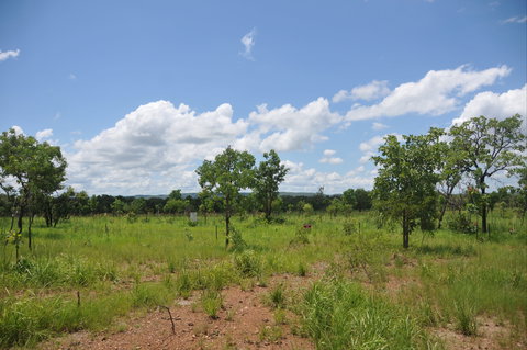 Brocks Creek Chinatown And Temple Site - ACT Tourism 1