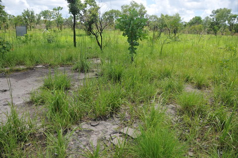 Brocks Creek Chinatown And Temple Site - ACT Tourism 2