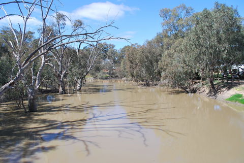 Bush Tucker Trail - ACT Tourism 0