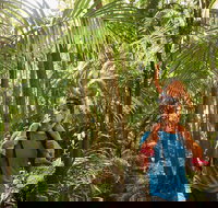 Canungra - ACT Tourism