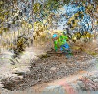 Castle Hill Blackstone Reserve - ACT Tourism