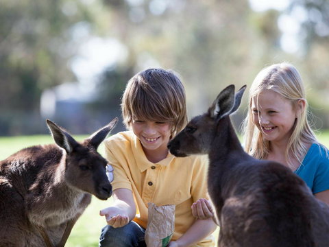 Cleland Wildlife Park - ACT Tourism 1