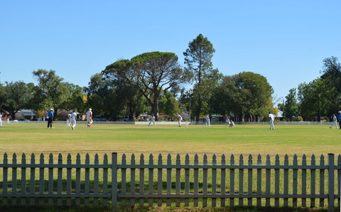 Cootamundra Cricketing Exploration - ACT Tourism 0