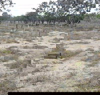 Culgoa Connellys Track - ACT Tourism