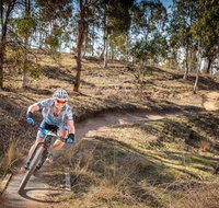 Cycle Mogo State Forest - ACT Tourism