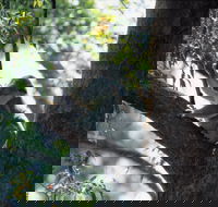 Daisy Hill - ACT Tourism