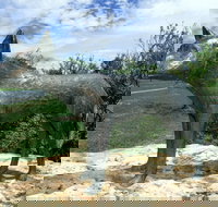 Dingo Statue - ACT Tourism