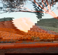 Dutchman Stern Conservation Park Trail