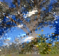 Euroa Arboretum - ACT Tourism