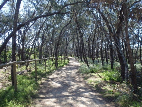 Federation Walk - ACT Tourism 0