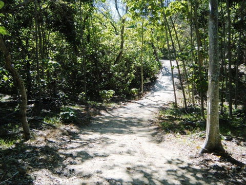 Federation Walk - ACT Tourism 2