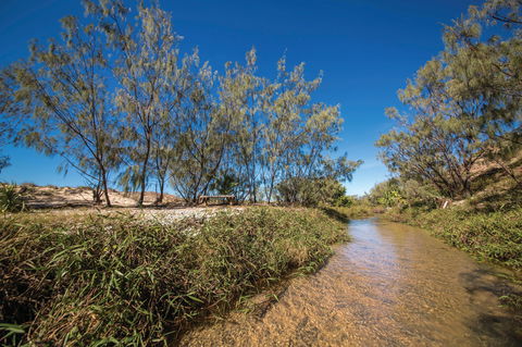 Freshwater Creek Track, Byfield National Park - ACT Tourism 0