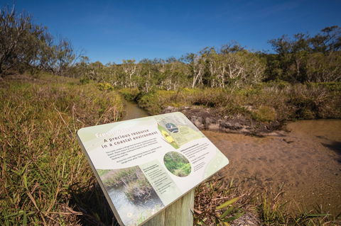 Freshwater Creek Track, Byfield National Park - ACT Tourism 1