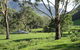 Georges Creek - thumb 1