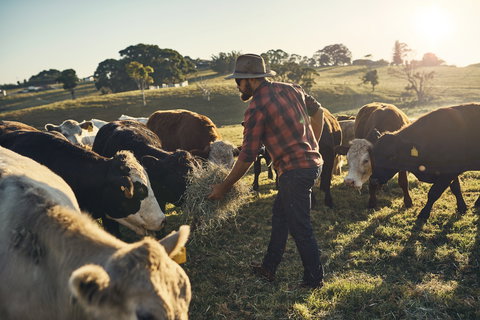 Hinterland Full Day Self Drive Tour - ACT Tourism 0