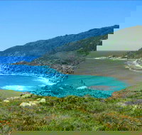 Little Bay Beach - ACT Tourism