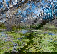 Macquarie Valley Trails - ACT Tourism