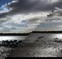 Marine Parade Hastings Foreshore Reserve Circuit - Cycling - ACT Tourism