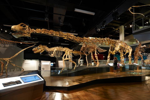 Melbourne Museum - ACT Tourism 1