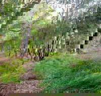 Meroo Lake walking track - ACT Tourism