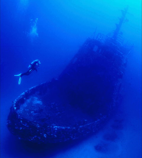 Merimbula Divers Lodge - ACT Tourism 0