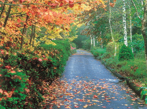 Mount Wilson And Mount Irvine - ACT Tourism 0