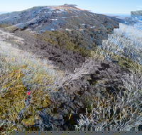 Mt Buller Bike Park - ACT Tourism