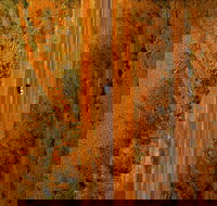 Newcastle Waters - ACT Tourism