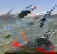 Ningaloo Fly Fishing - ACT Tourism