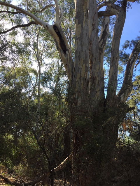 Northern Beaches - ACT Tourism 0