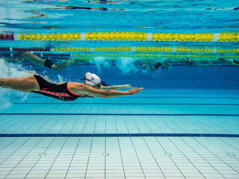 Nowra Aquatic Park - ACT Tourism 2