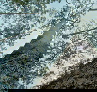 O'Sullivans Gap Picnic Area - ACT Tourism