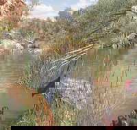 Palm Springs - ACT Tourism