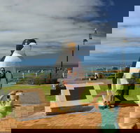 Penguin - ACT Tourism