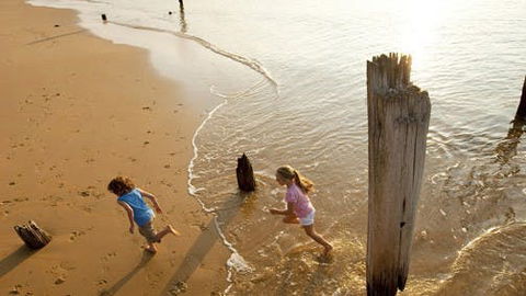 Phillip Island - ACT Tourism 0