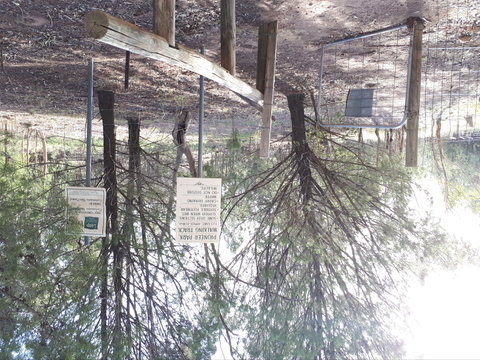 Pioneer Park - ACT Tourism 1