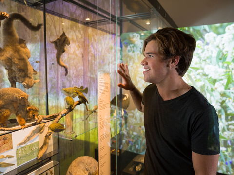 Queensland Museum - ACT Tourism 0