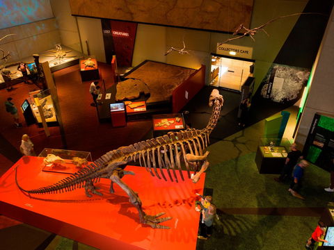 Queensland Museum - ACT Tourism 2