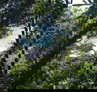 Rainforest Walking Track Hat Head National Park - ACT Tourism