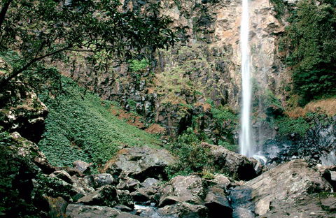 Rawson Falls Walk - ACT Tourism 0