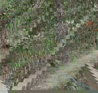 Springwood Conservation Park - ACT Tourism