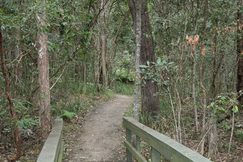 Springwood Conservation Park - ACT Tourism 0